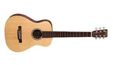Dropshipping Guitar - philip