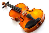 Strad Violin - philip